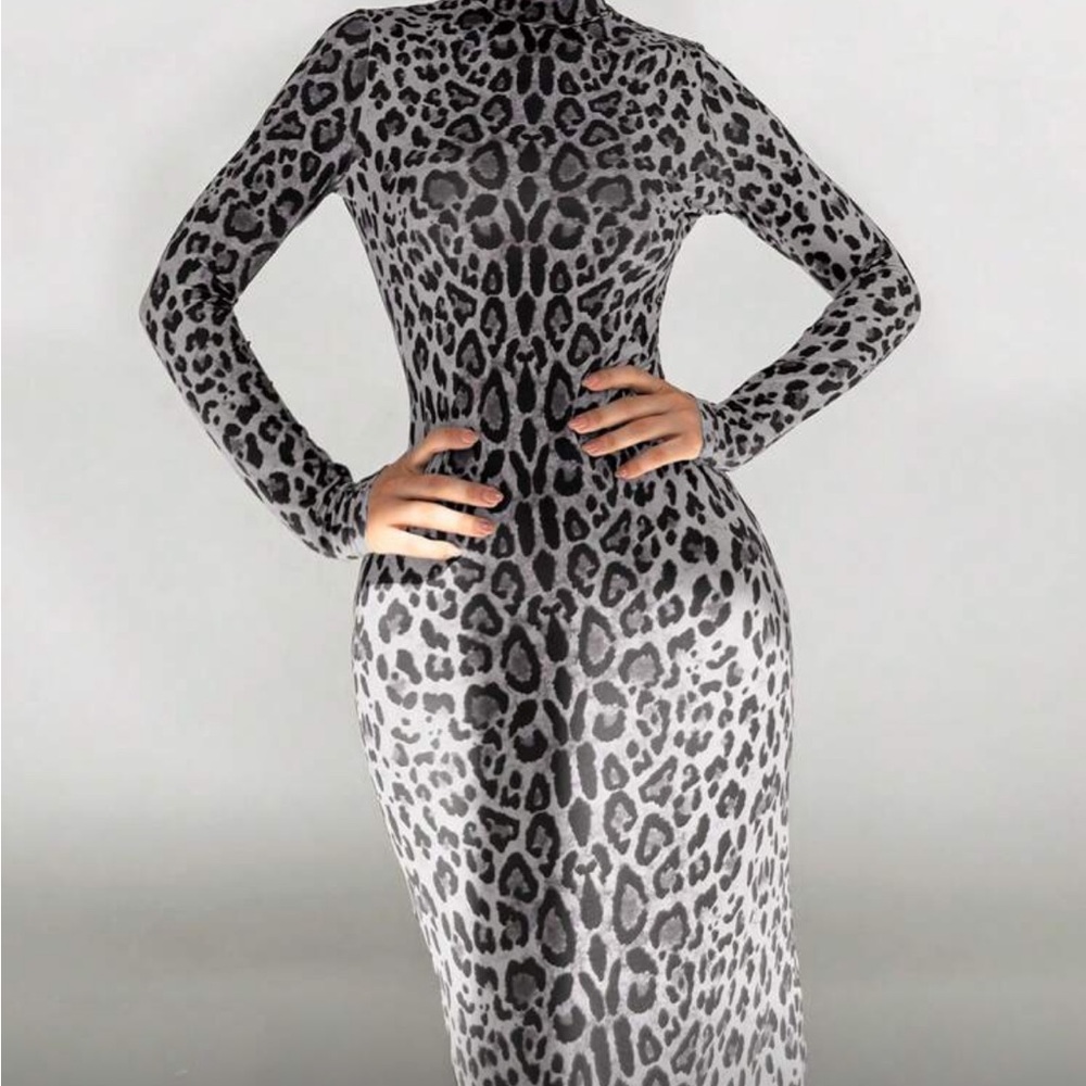 Leopard Print Long Sleeve Dress
